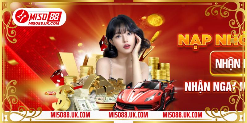 Tổng quan về Miso88
