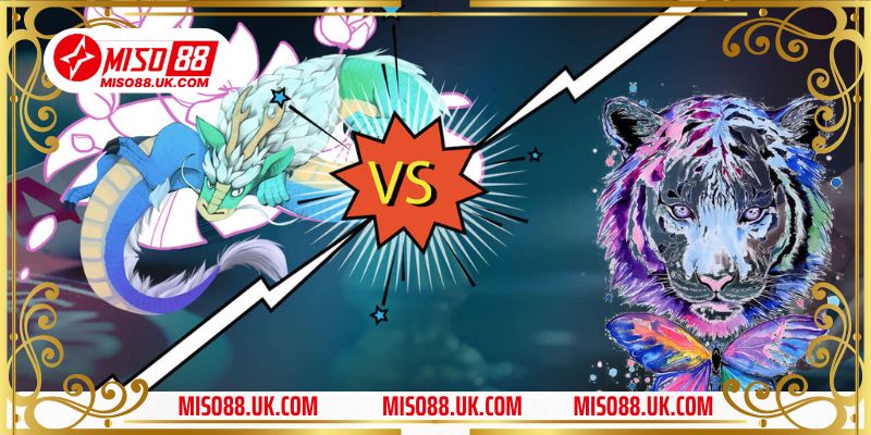 Hướng dẫn cách tham gia khuyến mãi Rồng hổ Miso88 chi tiết