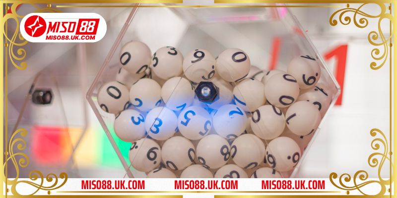 Phương pháp nuôi dàn đề 20 số khung 3 ngày