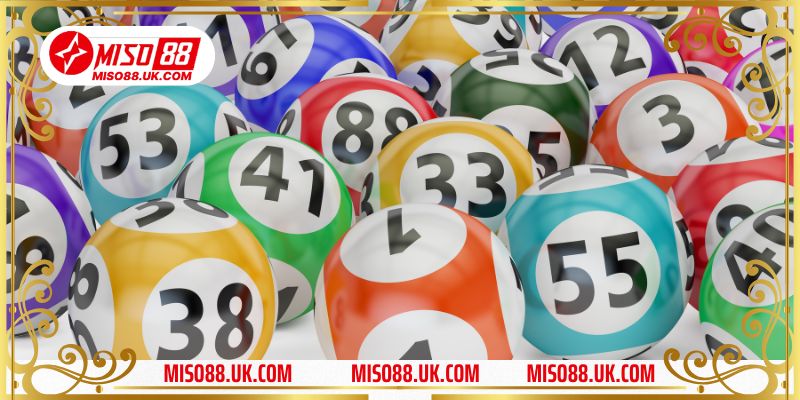 Tìm hiểu phương pháp dàn đề nuôi 2 ngày